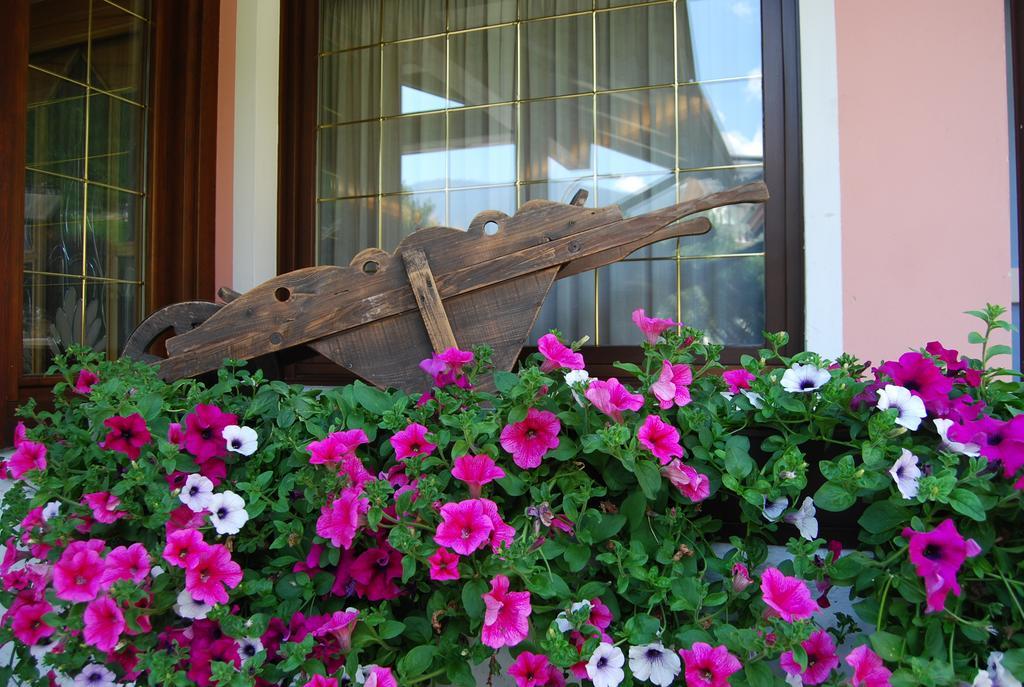 Hotel Quadrifoglio Pinzolo Dış mekan fotoğraf